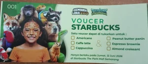 voucher starbucks