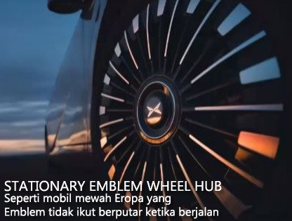 stationary emblem wheel hub
